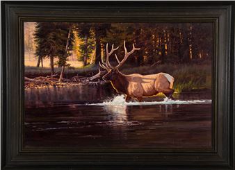 Untitled (Bull elk crossing stream) Picture