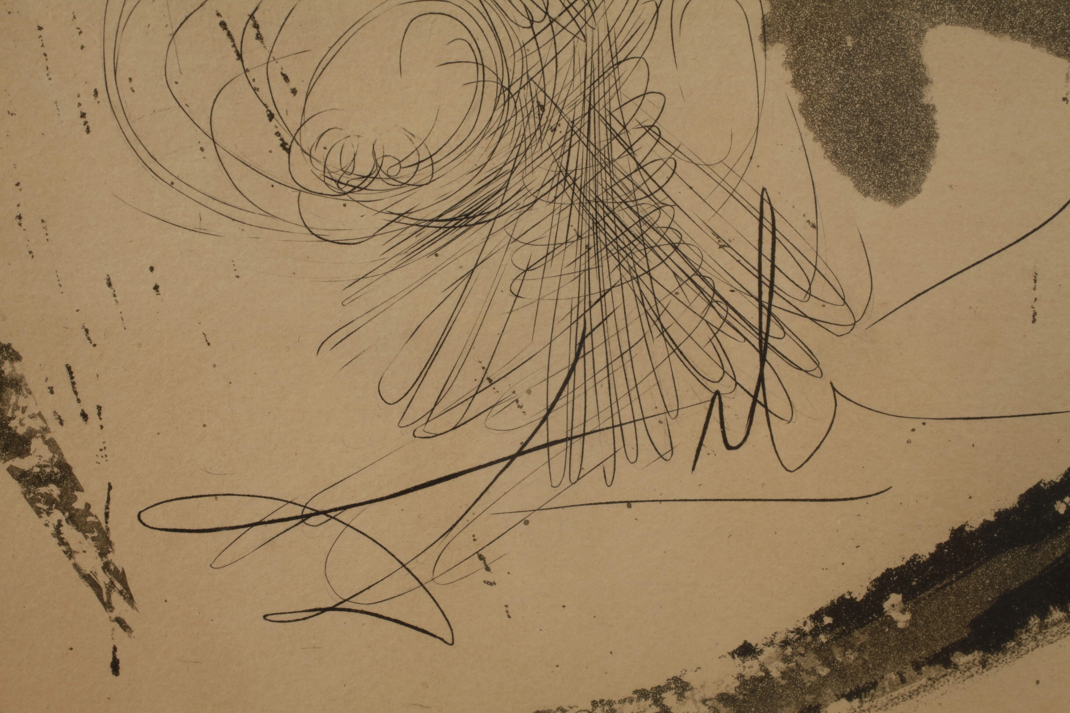 Artwork by Salvador Dalí, Portrait de Sigismund, Made of Radierung auf gelblichem velin