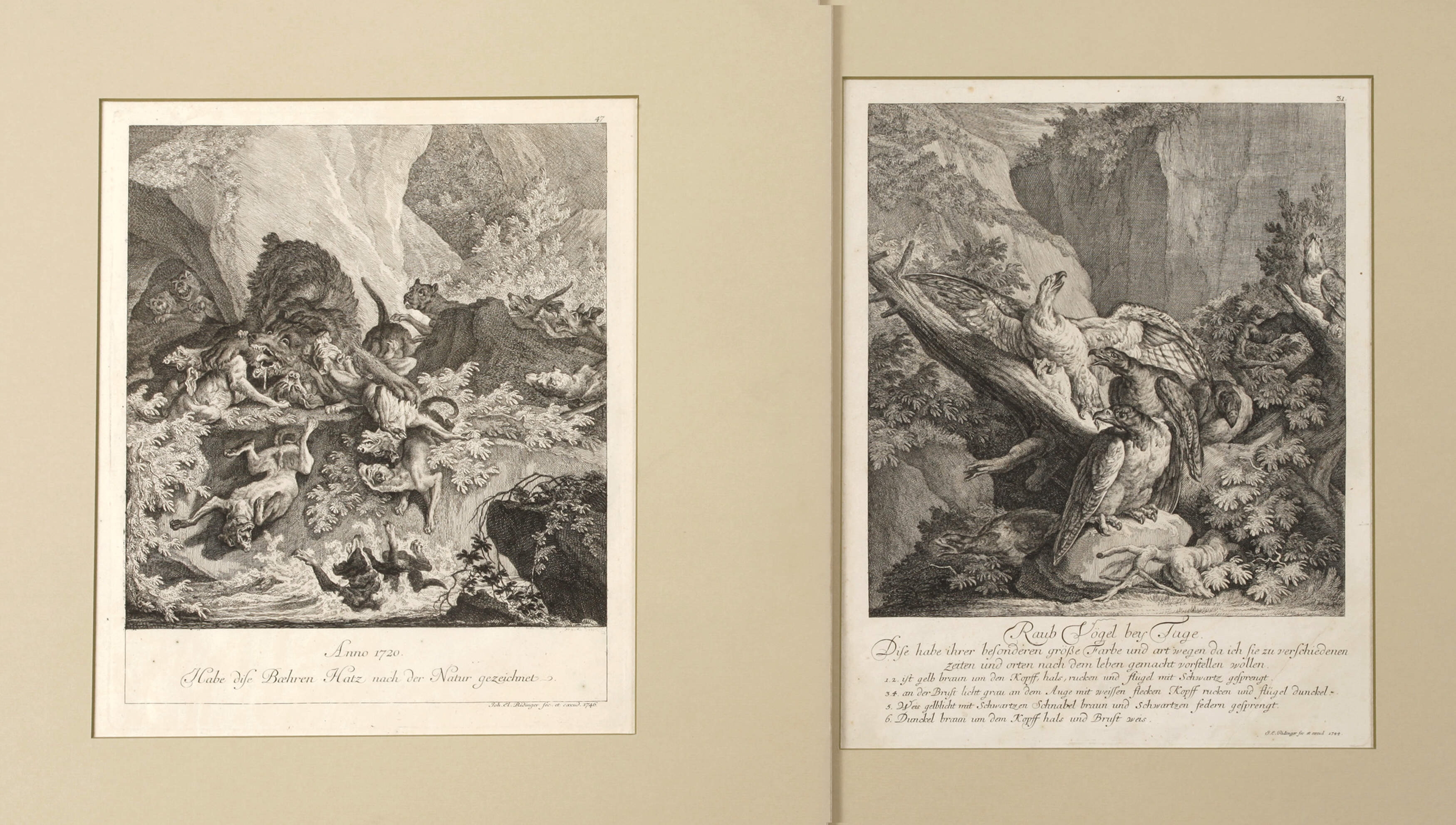 Artwork by Johann Elias Ridinger, Paar Jagddarstellungen, Made of Radierungen mit dynamischer lichtbehandlung auf bütten