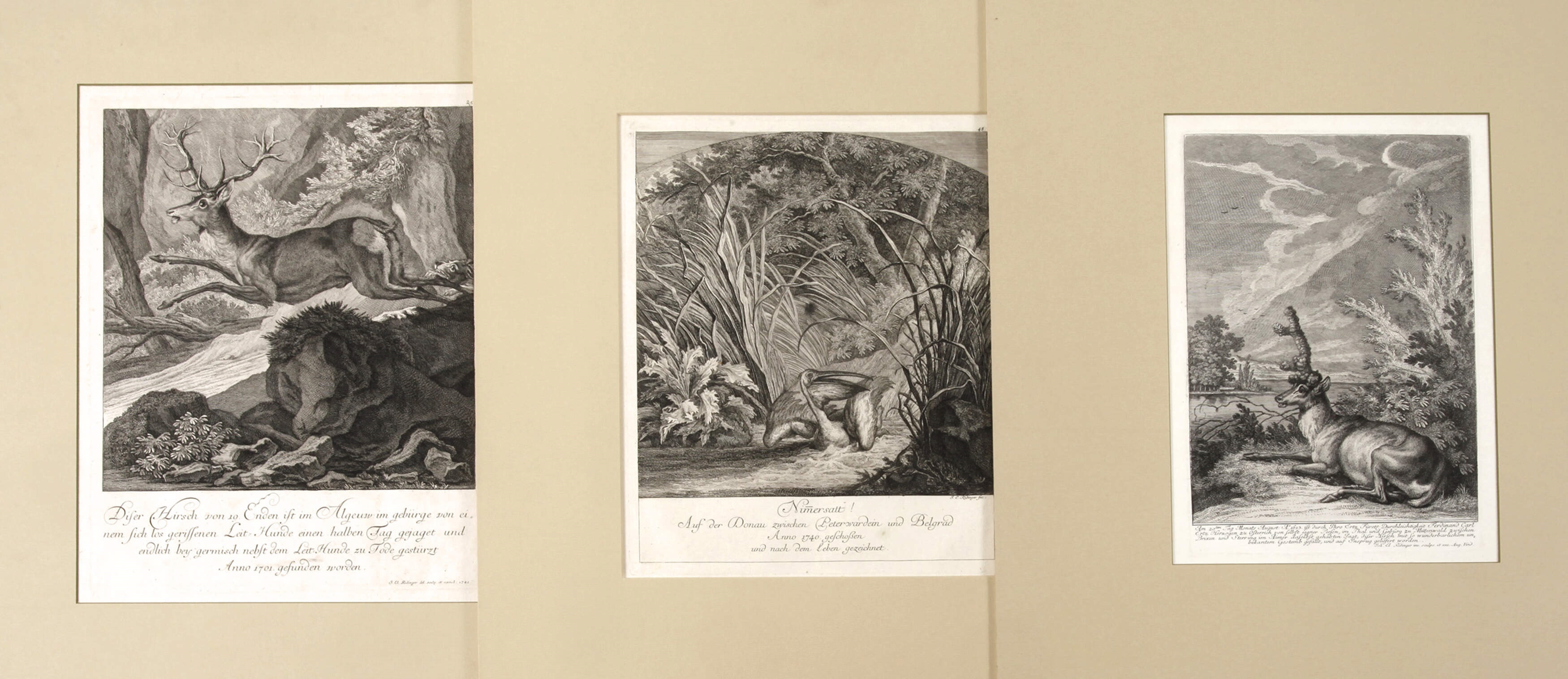 Artwork by Johann Elias Ridinger, Drei Jagddarstellungen, Made of Radierungen auf bütten