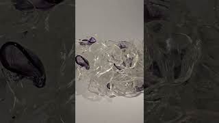 Shimmer - Martin Blank