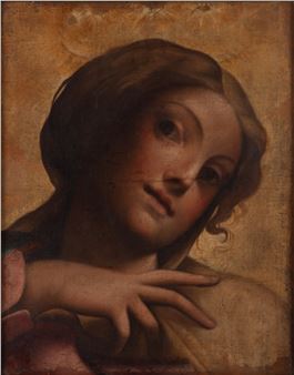 Head of Madonna Picture