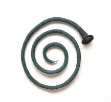 Horn