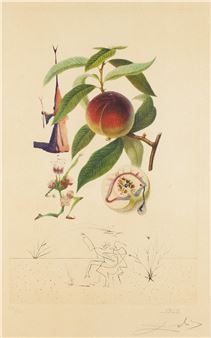 Skruszona Brzoskwinia ("Pecher Penitent") z cyklu "Flordali" Picture