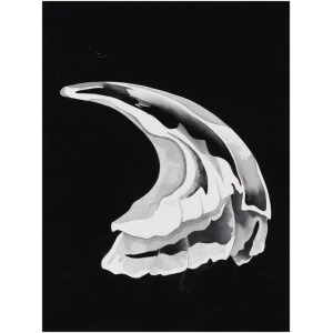 TIDE | 195 Artworks at Auction | MutualArt