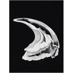 TIDE | 195 Artworks at Auction | MutualArt