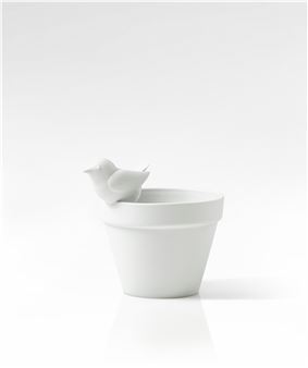 Petit Oiseau de Bagatelle Pot Picture