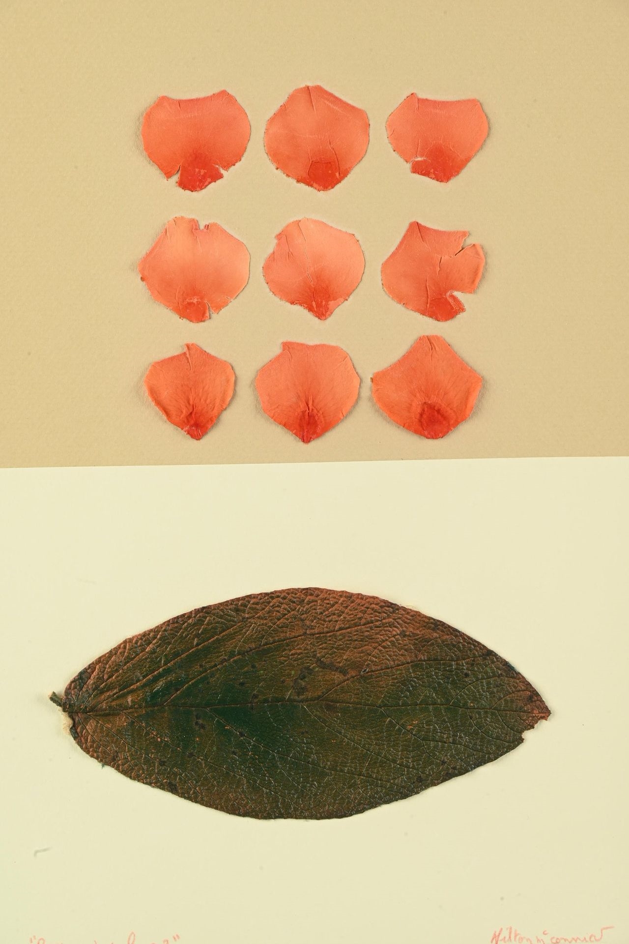 Hilton McConnico | 197 Artworks at Auction | MutualArt