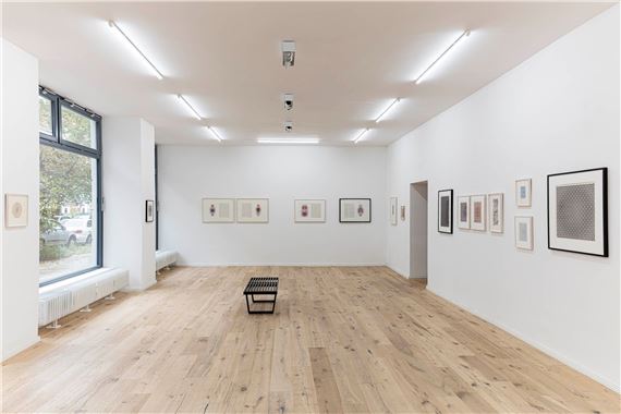 The Algorists at DAM Projects