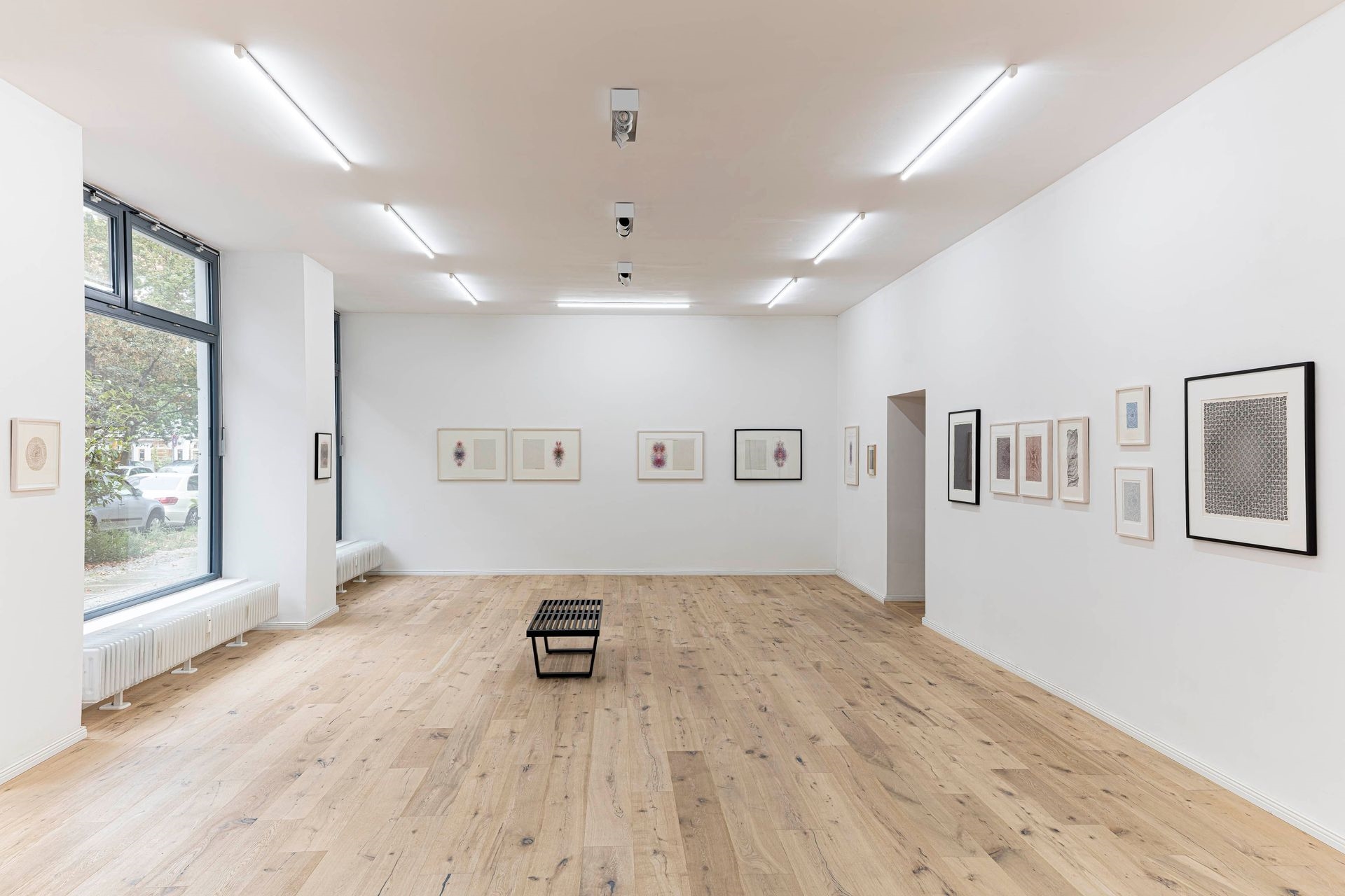 The Algorists at DAM Projects