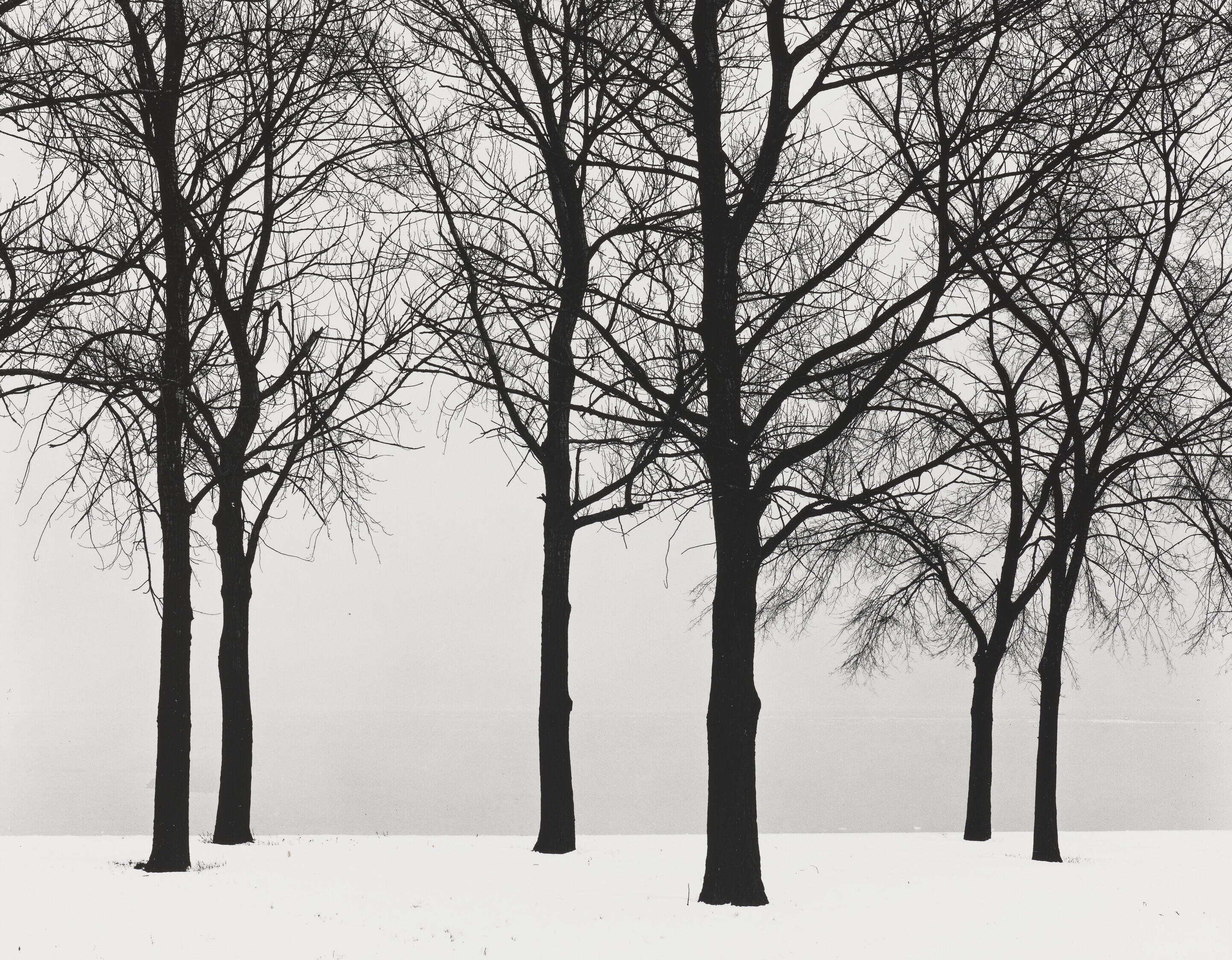 Harry Callahan | 1,811 Artworks at Auction | MutualArt
