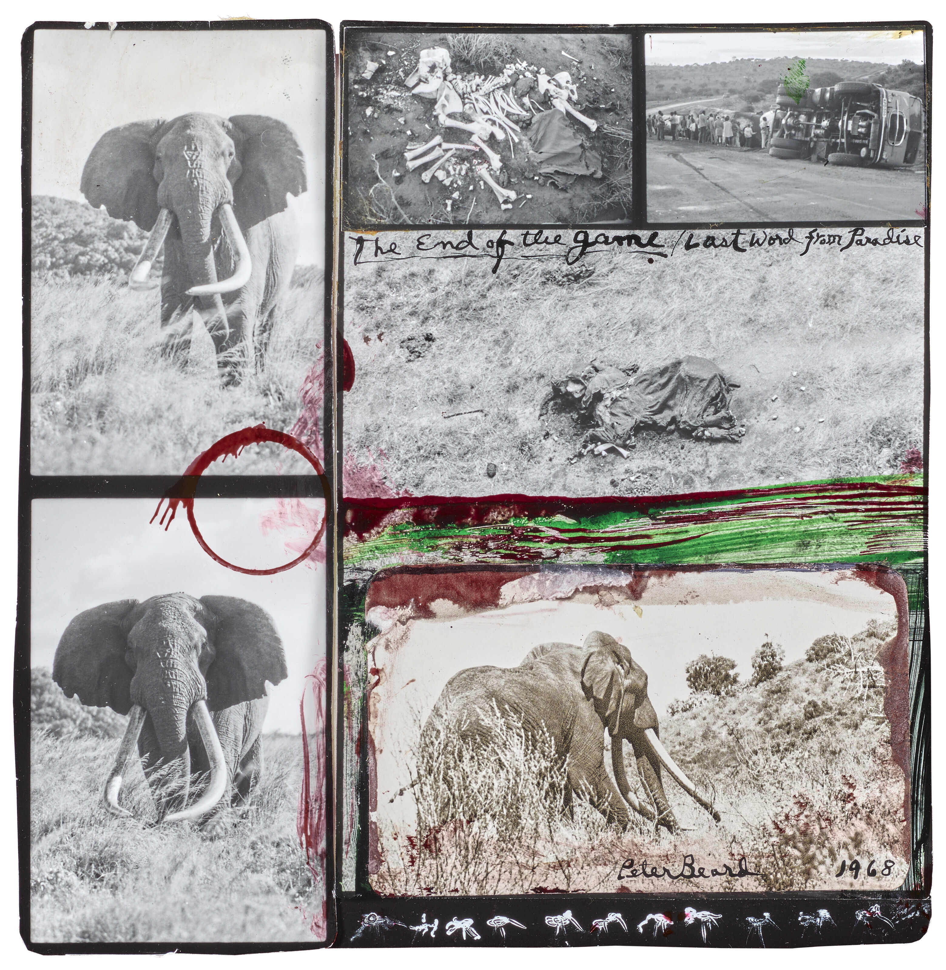 Peter Beard | 1,664 Artworks at Auction | MutualArt