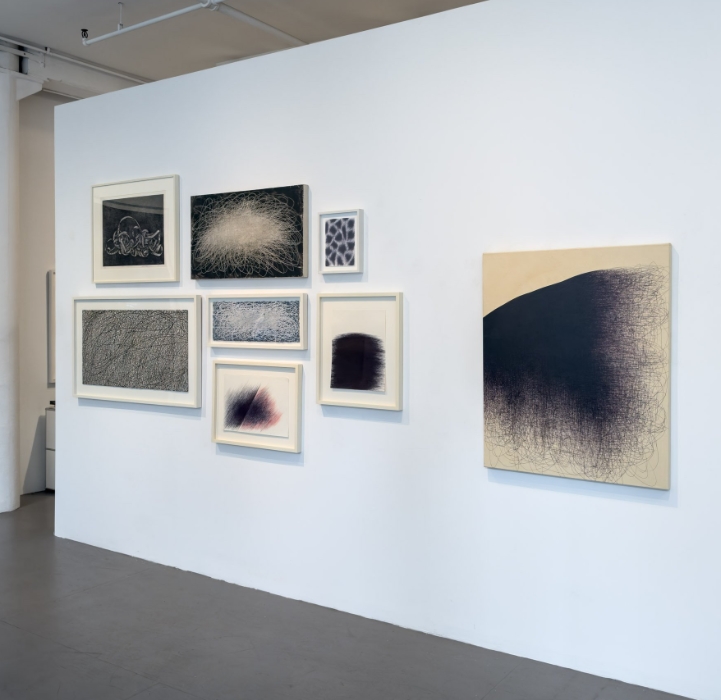 Il Lee: Works from the Collection at Art Projects International