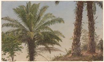 Frederic Church in Jamaica - Cooper-Hewitt National Design Museum, Smithsonian Institution