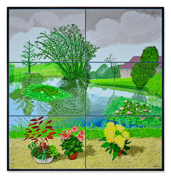10th - 22nd June 2021, Water Lilies in the Pond with Pots of Flowers