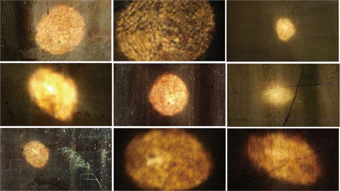 Video stills, Coppe Mirror, Behavior recording video, 2018