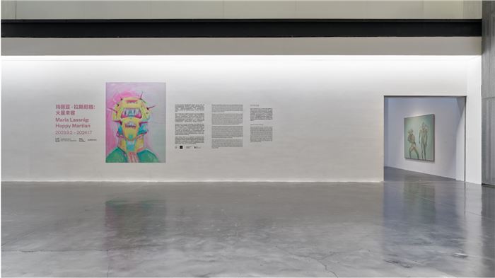 Exhibition view, Happy Martian, Courtesy: UCCA Center for Contemporary Art