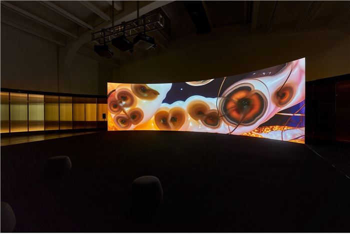 Anika Yi, Each Branch of Coral Holds Up the Light of the Moon, 2024, Single channel video, 6 mins 4 sec. Courtesy of the UCCA Center for Contemporary Art