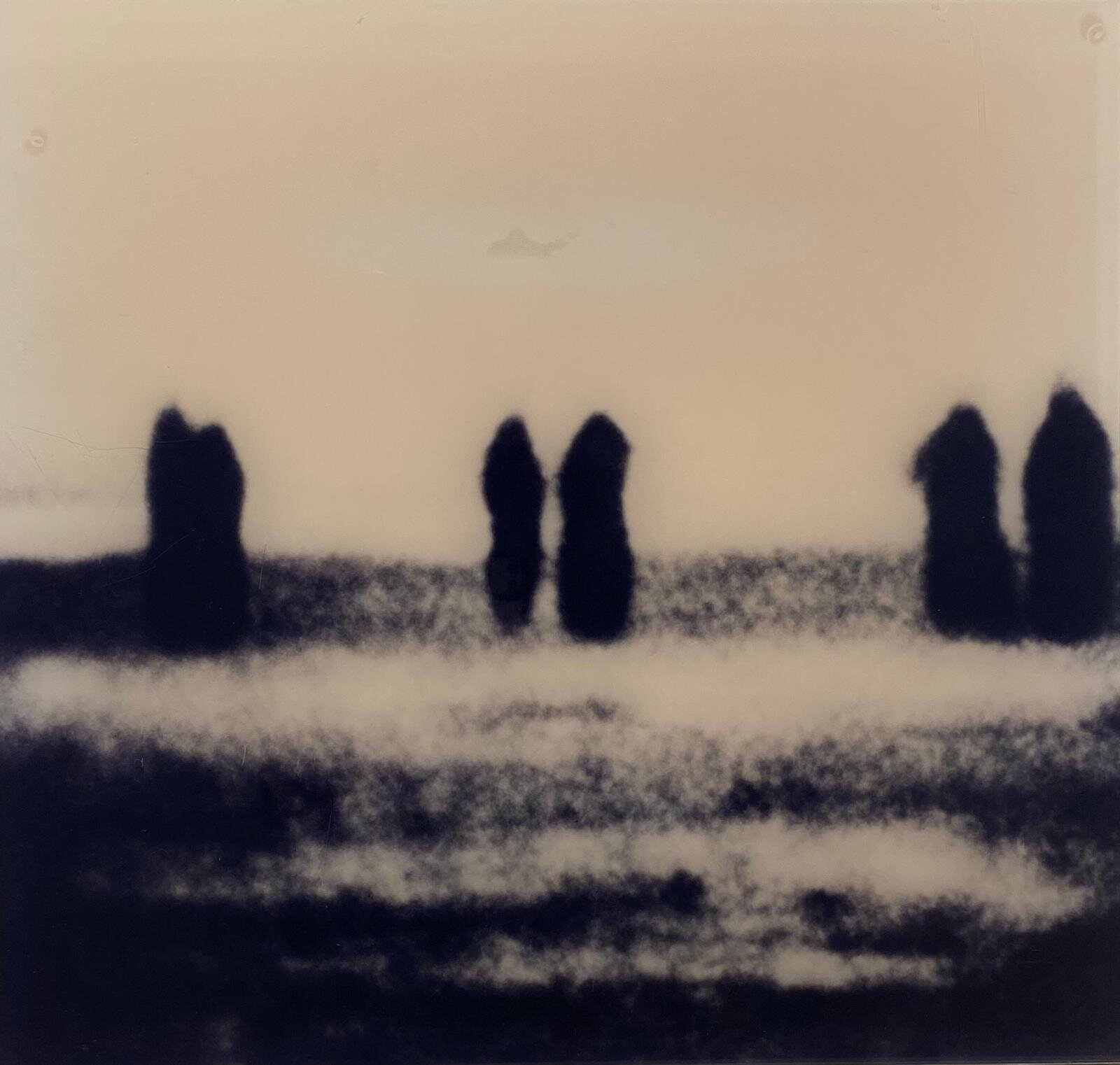 Michal Rovner