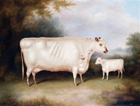 Henry Strafford Picture