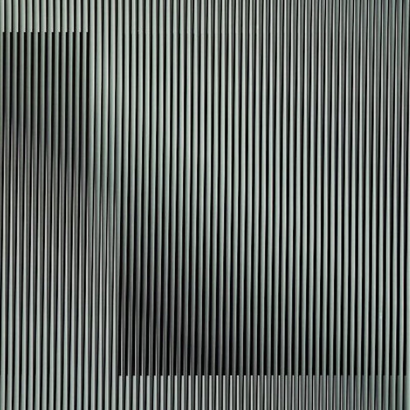 Carlos Cruz-Diez