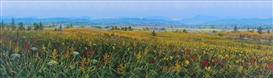 Randolph Parker Picture