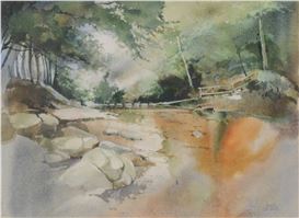 David Curt Morris Picture