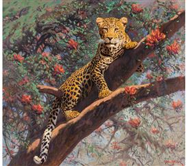 A. John Pelletier Picture