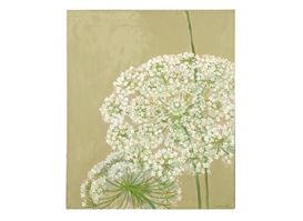 Stella Pearlmutter Picture
