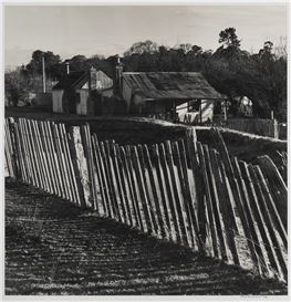 Rex Dupain