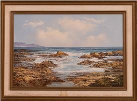 Johann Bonthuys Picture
