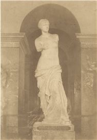 Ch. Marville Picture