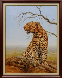 Peter Stewart Picture