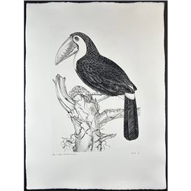 Jack Coutu Picture