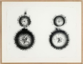 Dominique Blais Picture