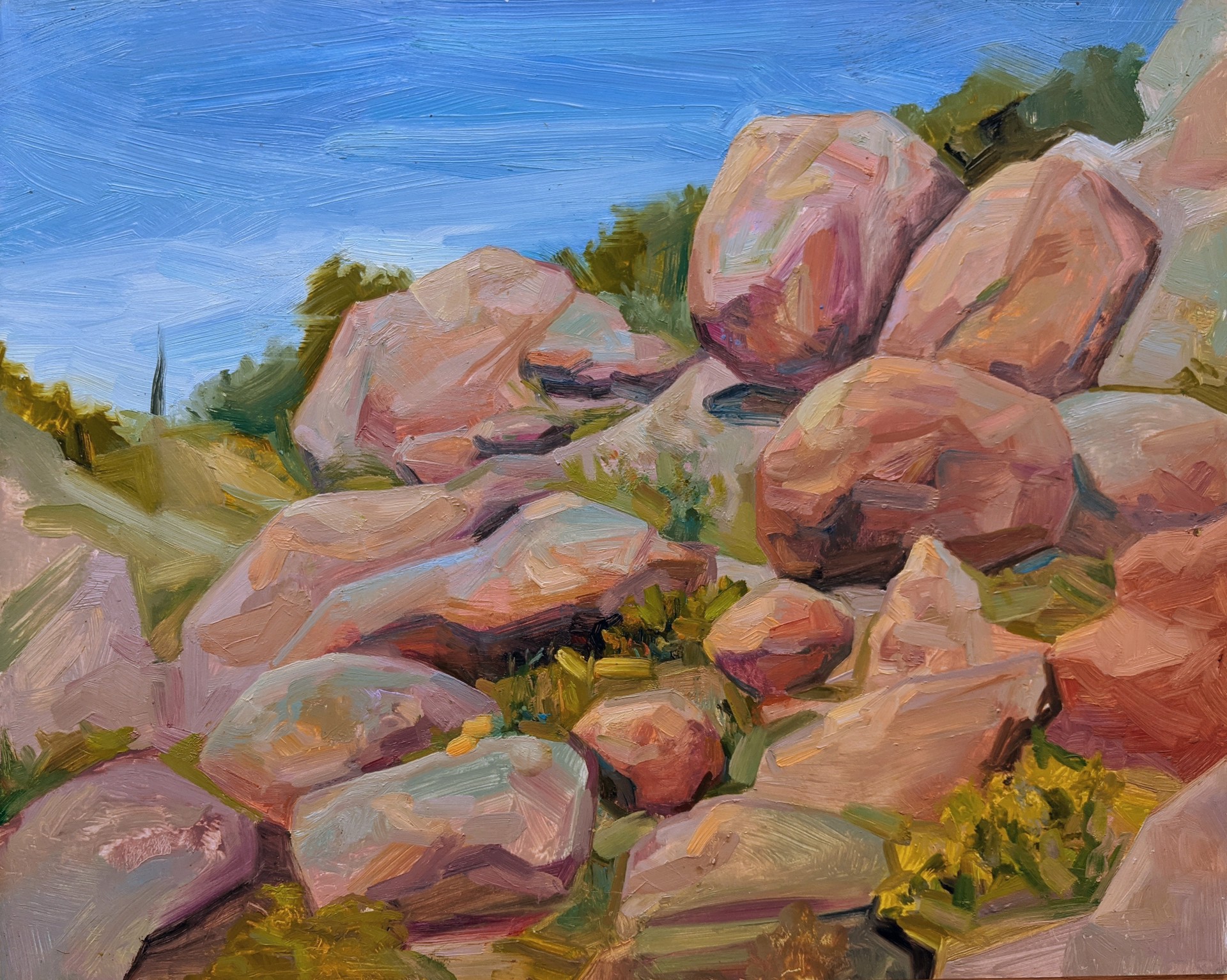 Charis  Carmichael Braun