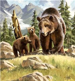 Tom Haas Picture