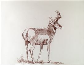 Bob Kuhn Picture