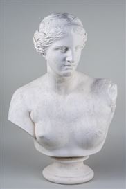 Domenico Brucciani Picture
