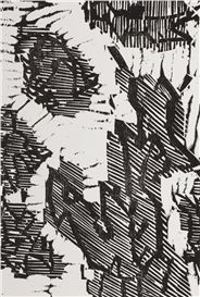 Erich Steininger Picture
