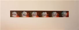 Mark Chamberlain (American, 1967)