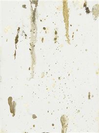 Dan Colen