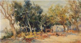 Kamel Moustafa Picture