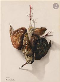 Henri de Linares Picture