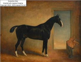 Claude Lorraine Ferneley Picture