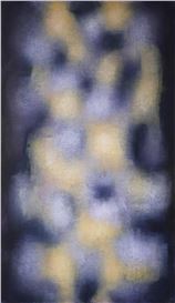Claudio Verna Picture