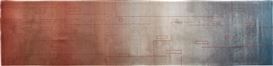 Steven Holl Picture