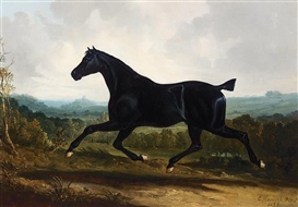 Charles Hancock Picture