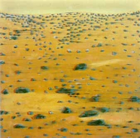 Scott Stack Picture
