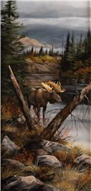 Trevor Swanson Picture